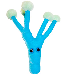 Penicillin by GIANTmicrobes