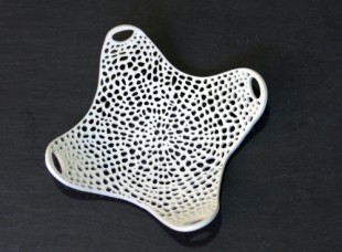 Laser cut bowl modeled on a diatom skeleton
